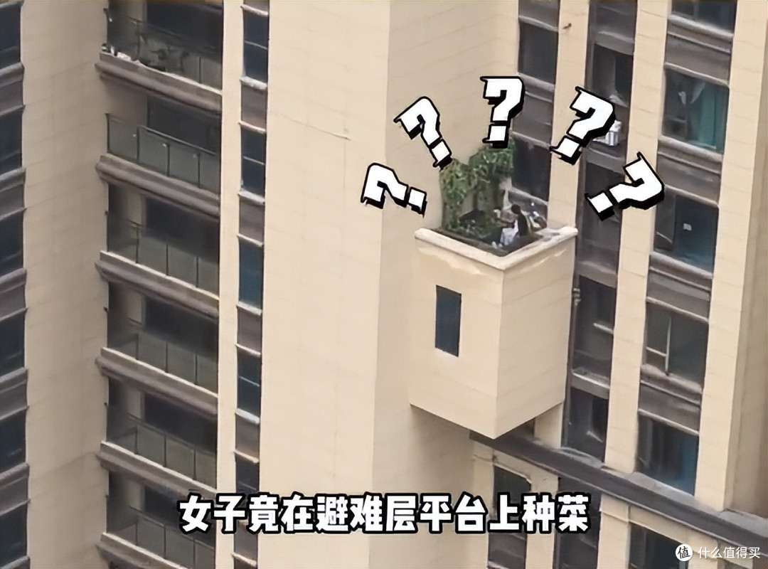 女子在“高楼避难层上种菜”,惊呆众人,网友:这菜是非种不可?
