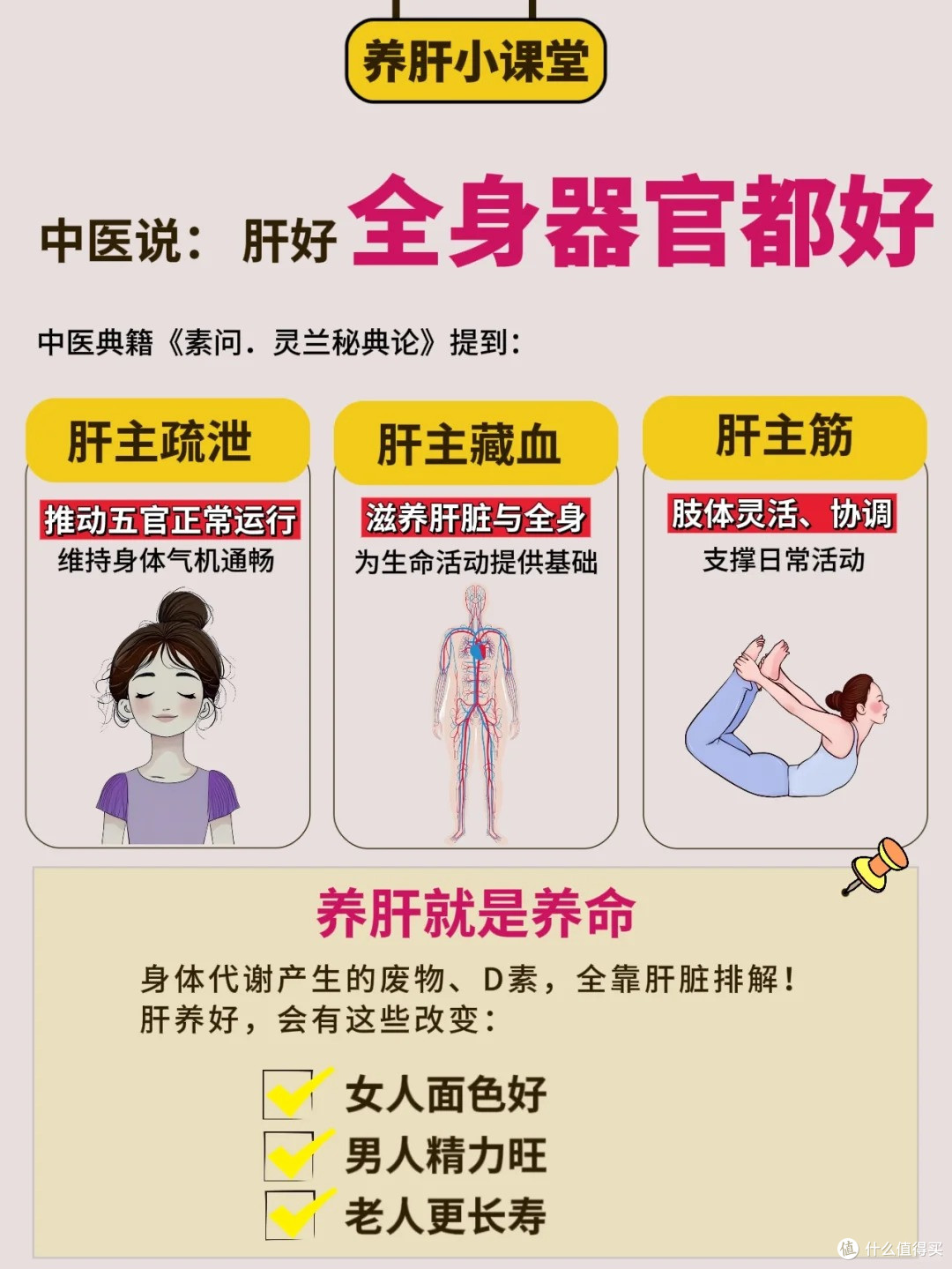 女生必看肝好,全身器官都好!养颜必先养肝!