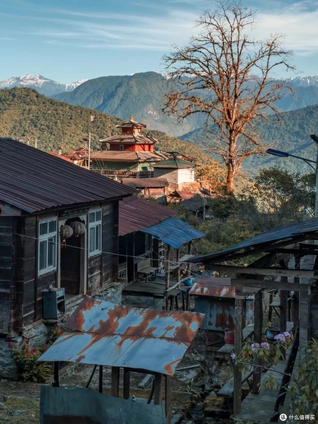 墨脱:藏在云端的莲花秘境,解锁“中国最后通公路县城”极致浪漫