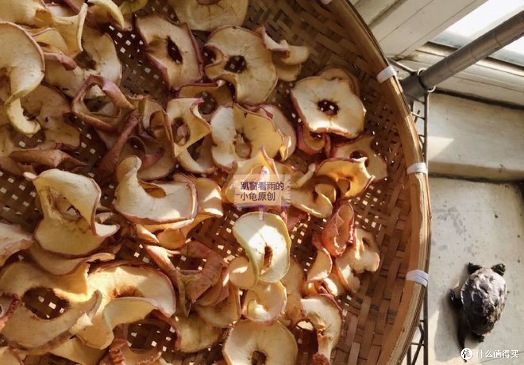 苹果干怎么晒?只需简单几步,果香十足,越嚼越甜,孩子超爱吃