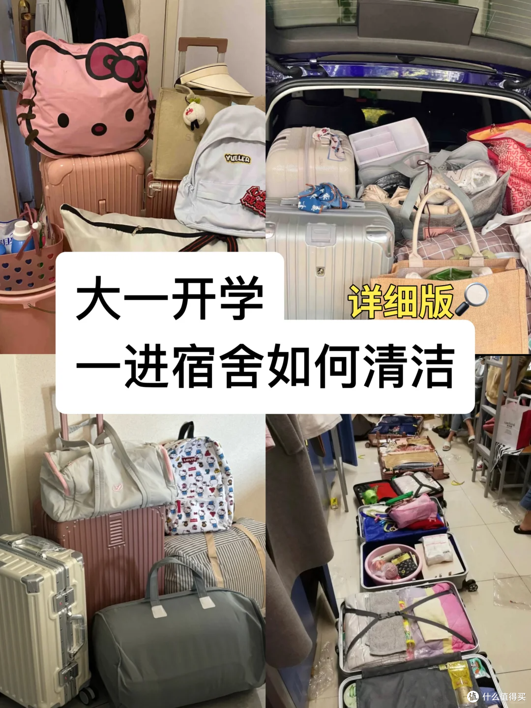 图片来源于小红书博主-小布熊🎈