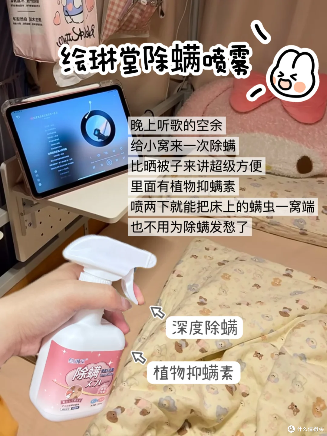 图片来源于小红书博主-小布熊🎈