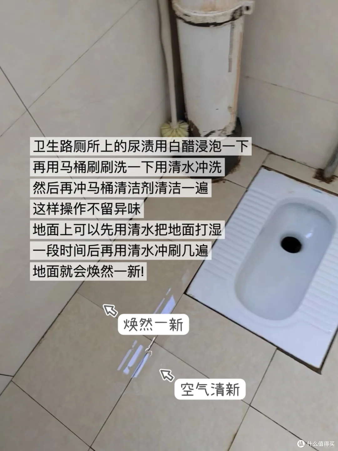 图片来源于小红书博主-小布熊🎈