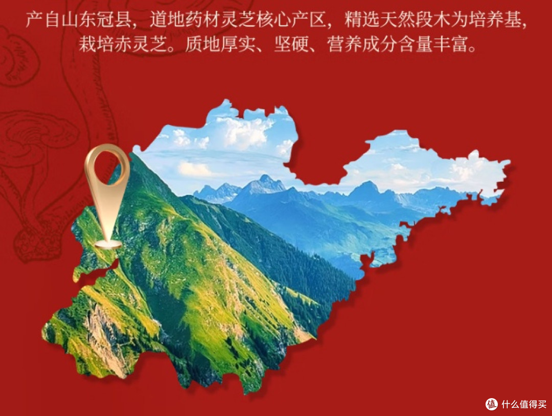 灵芝孢子粉哪个牌子好?八大高品质品牌解析,买得放心用得安心!