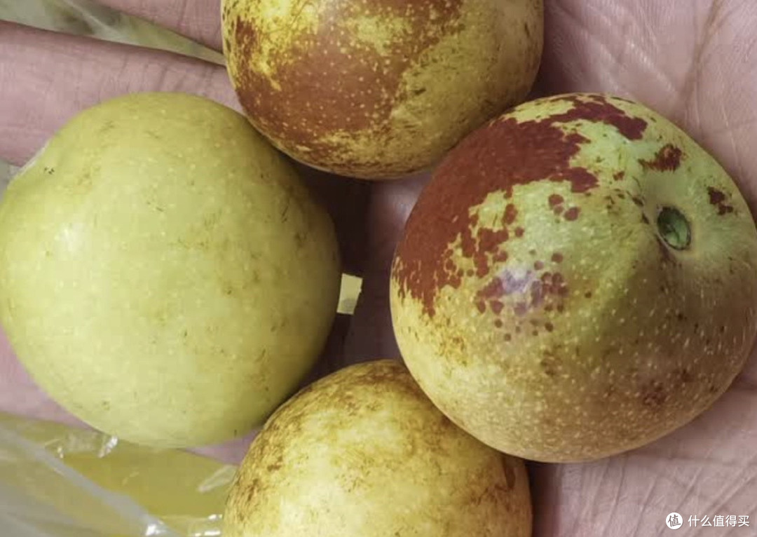 绝了!京鲜生这箱大荔冬枣,3斤脆甜到停不下来