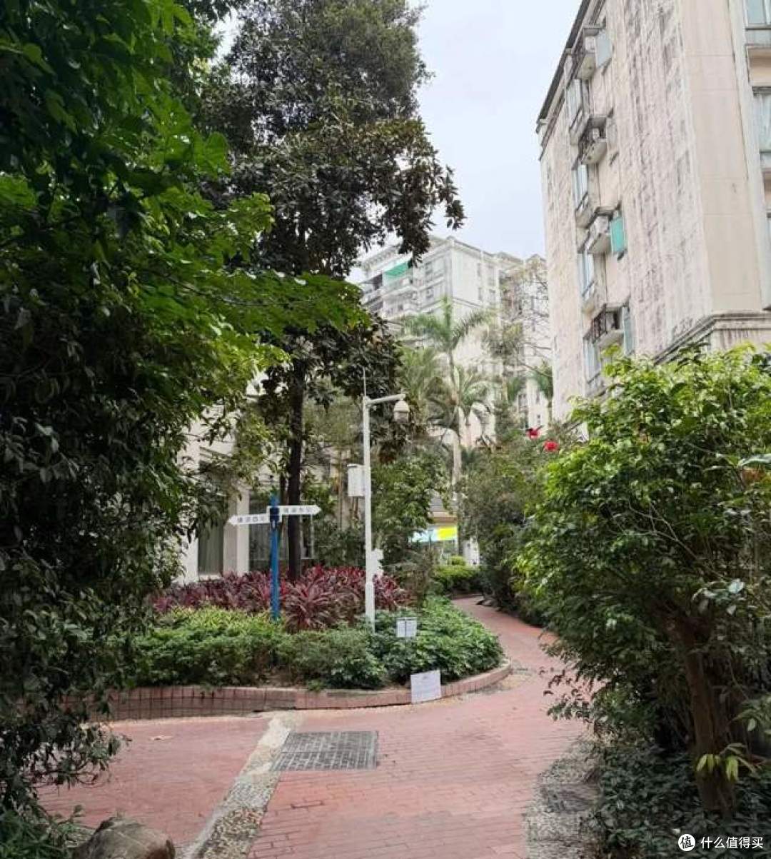 为什么有钱人开始偷偷收购“步梯房”?内行人说出实情,恍然大悟