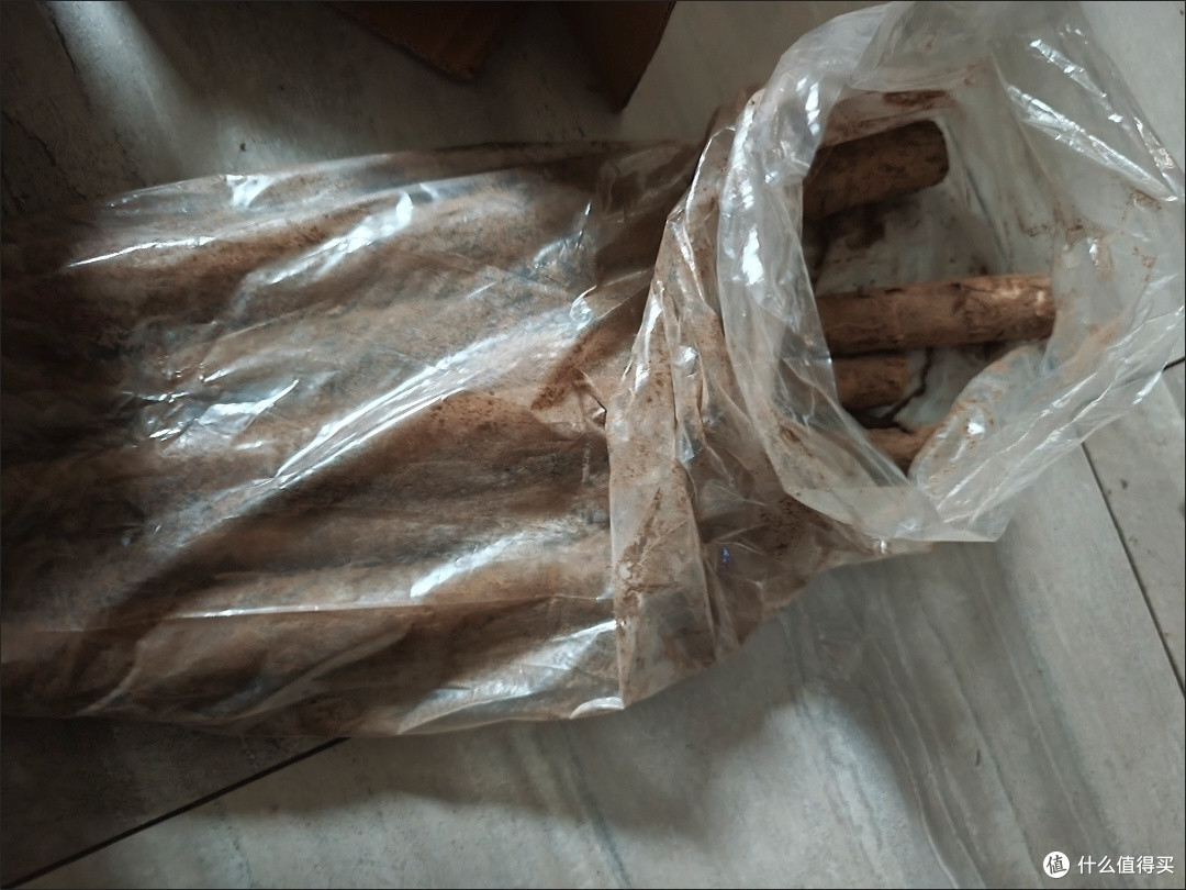 来点牛蒡