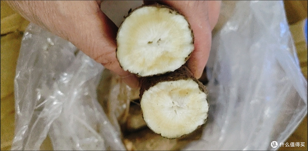 来点牛蒡