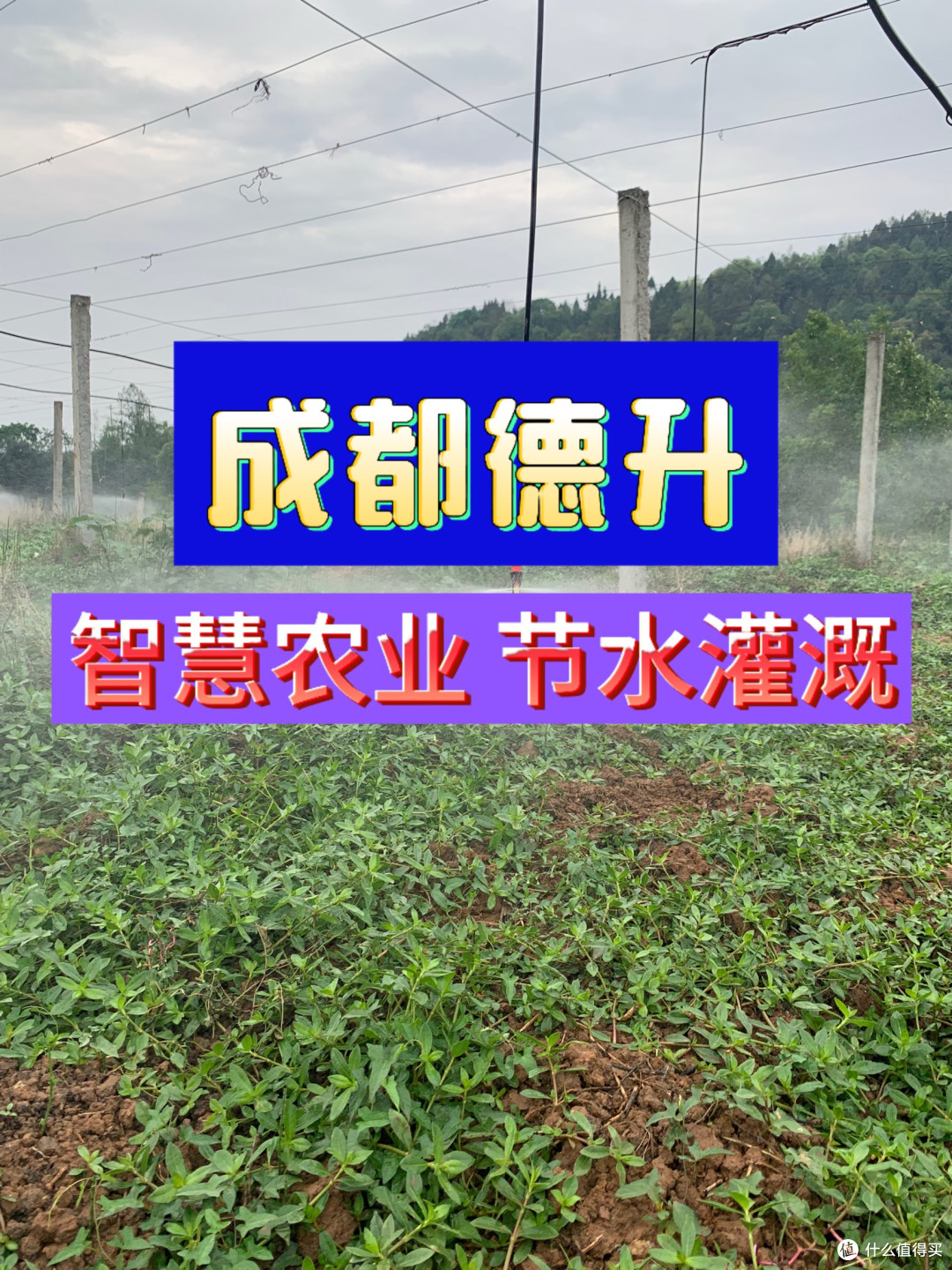 重庆果园喷灌系统安装 ，云南高原节水灌溉工程  ，成都德升农业