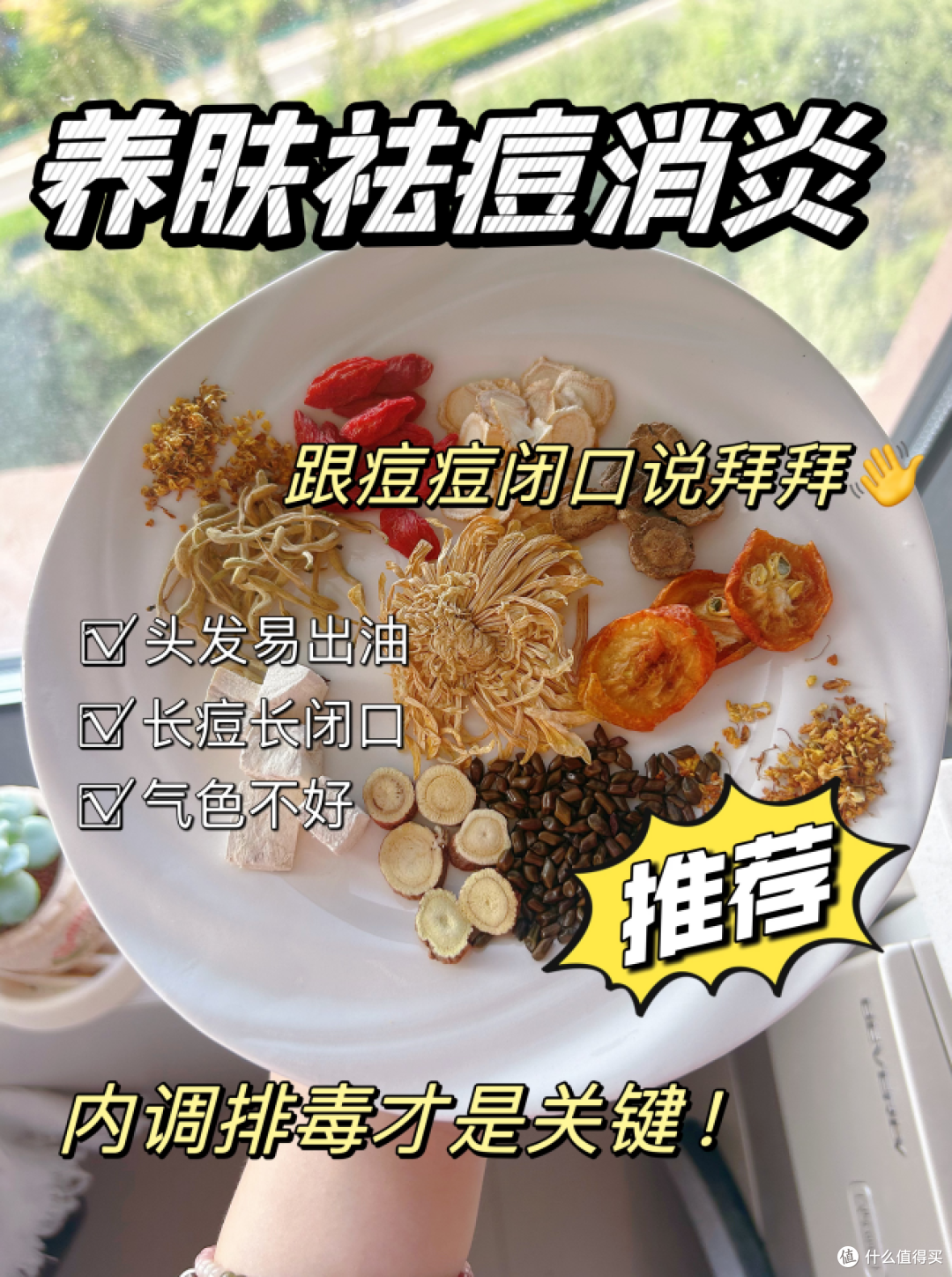 养肝祛痘茶、每天一杯祛斑祛黄、做肝净脸净的人！