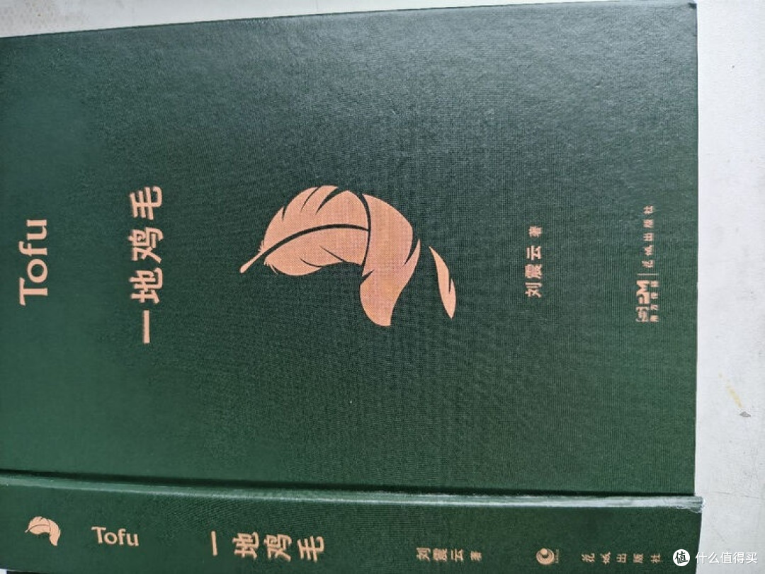 琐碎日常里的生活真相