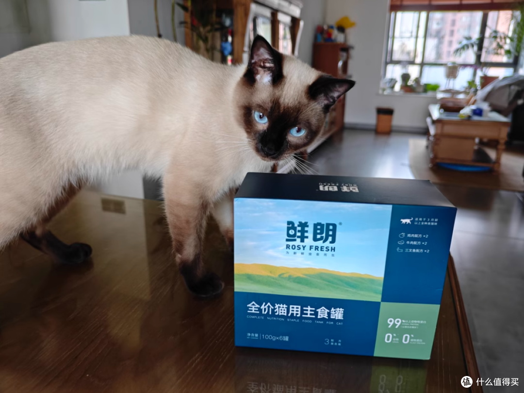 🐾铲屎官必看!鲜朗主食罐,猫咪的满分盛宴