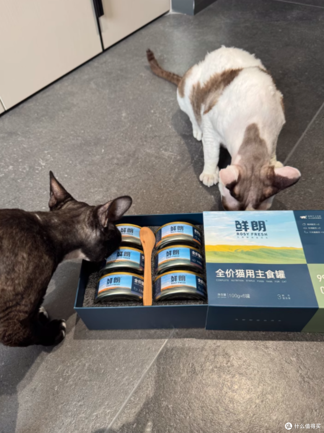 铲屎官必看!鲜朗主食罐全面评测✨