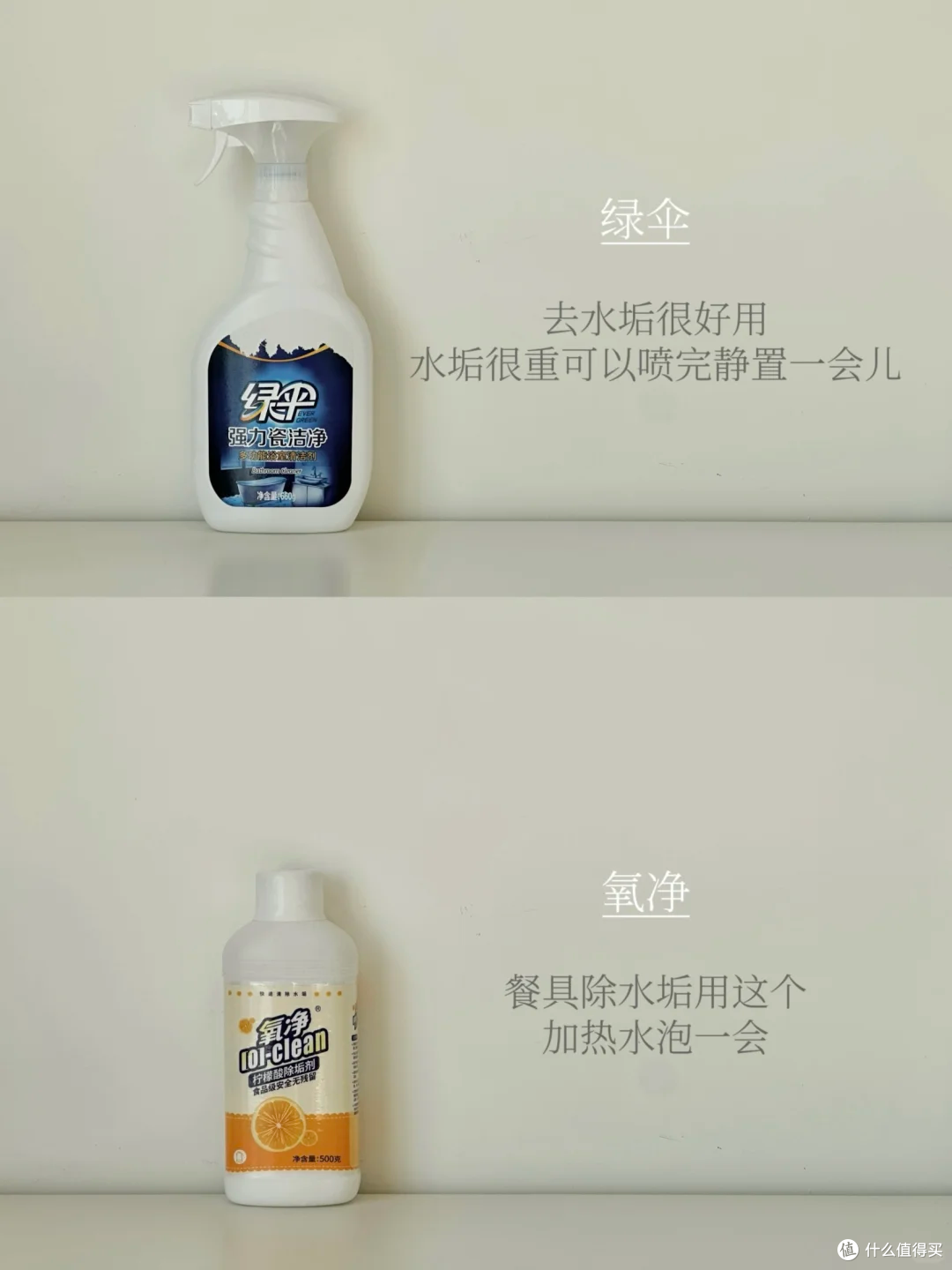 图片来源于小红书博主-洋芋椰子