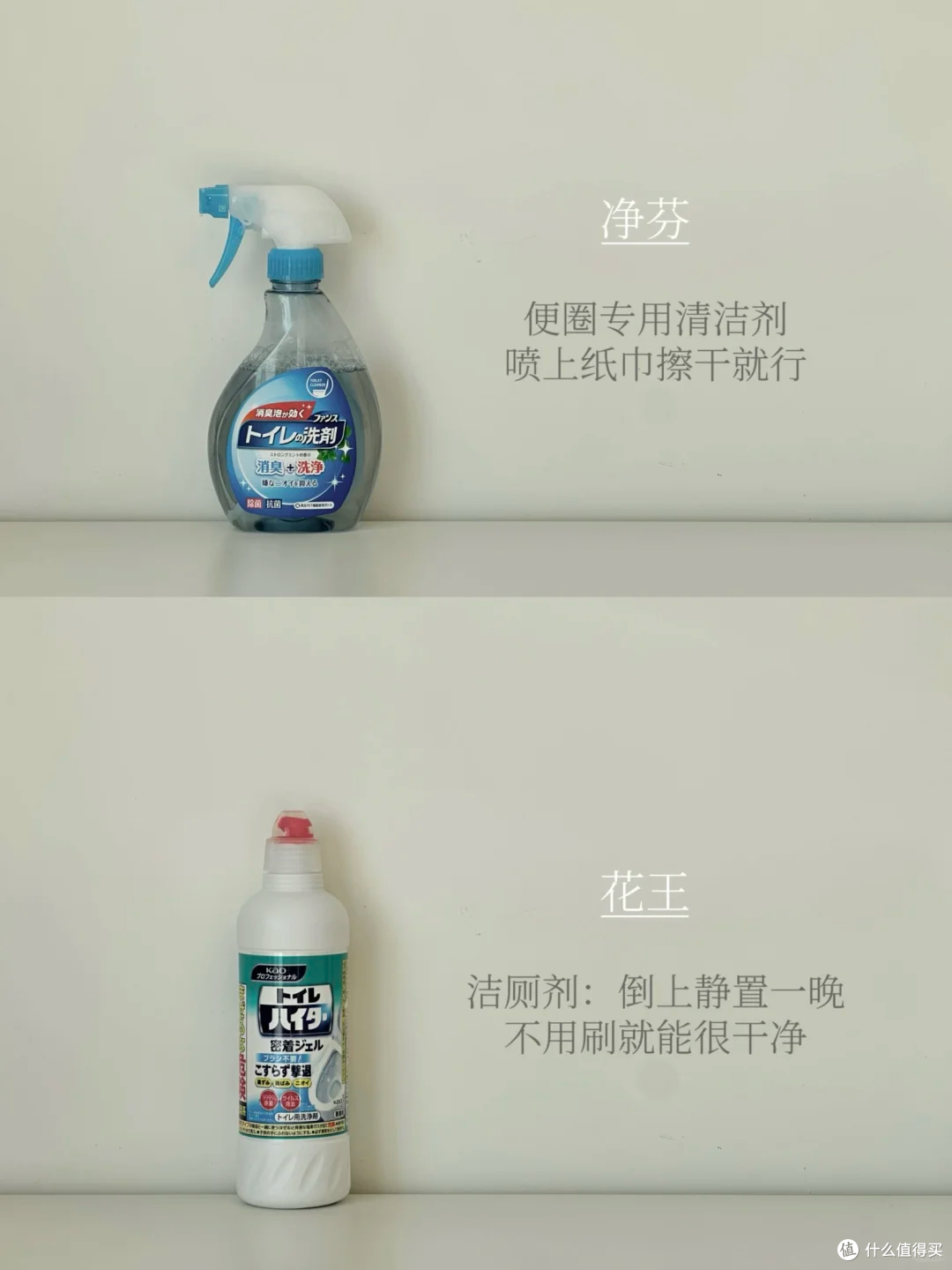 图片来源于小红书博主-洋芋椰子