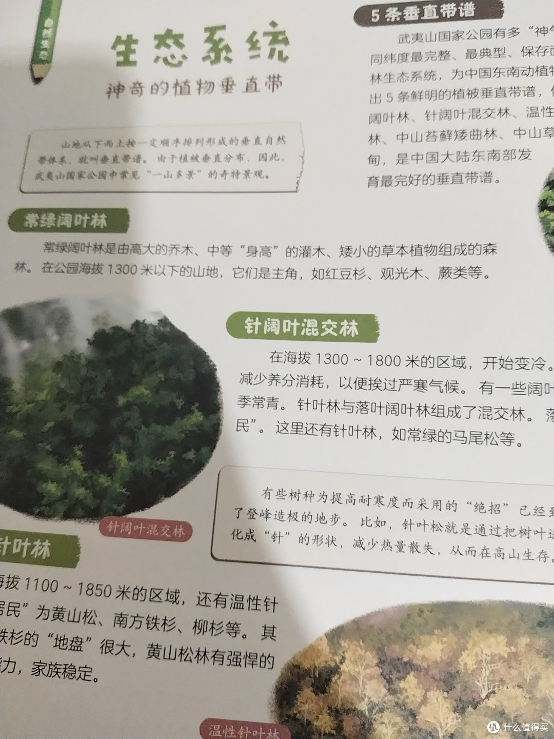 《你好，国家公园》：给孩子一场沉浸式的自然启蒙之旅