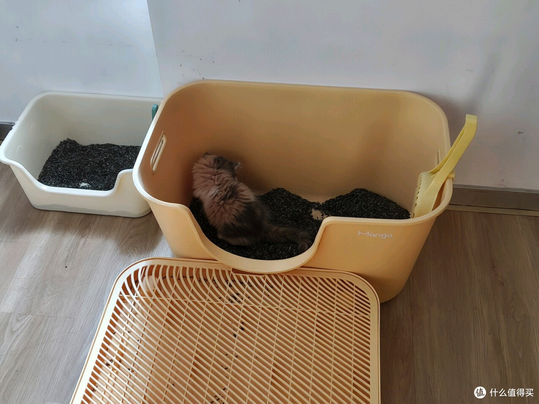 京东京造真茶豆腐猫砂