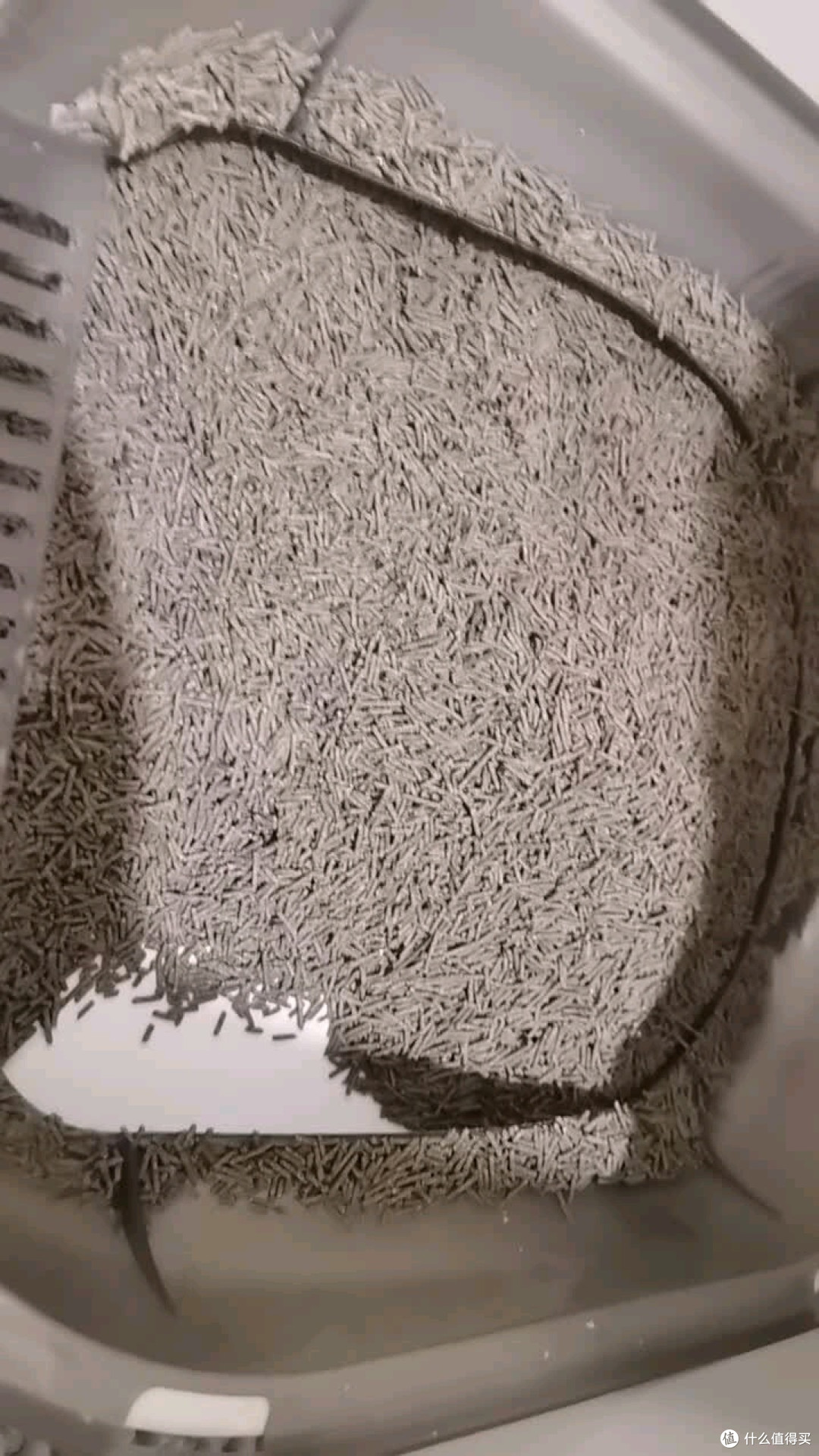 京东京造国货真茶豆腐猫砂
