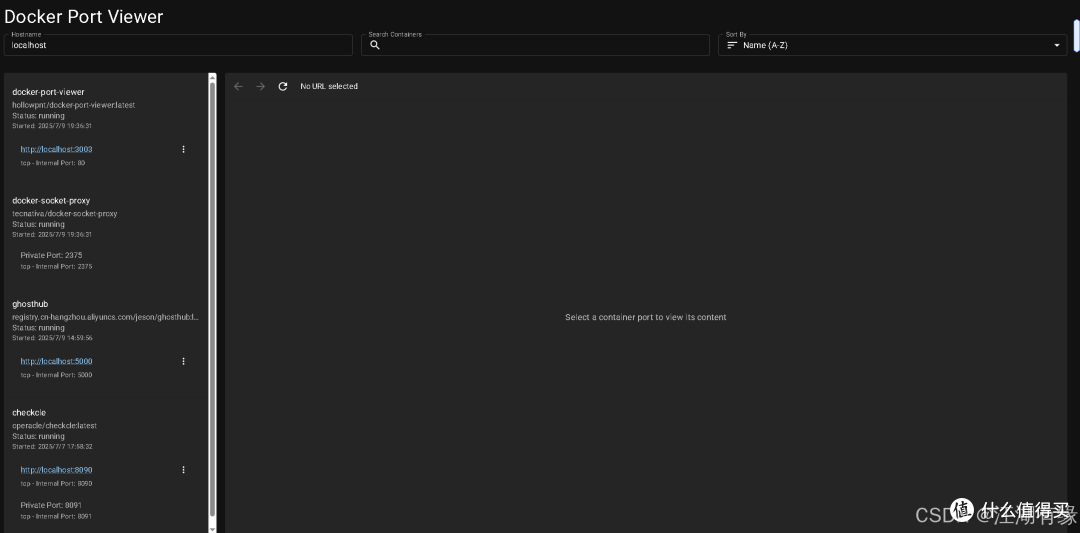 Docker项目实践：部署docker-port-viewer监控容器端口