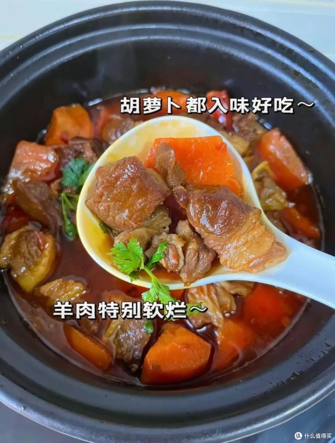 电饭煲胡萝卜炖羊肉做法,秋冬滋补好味道!