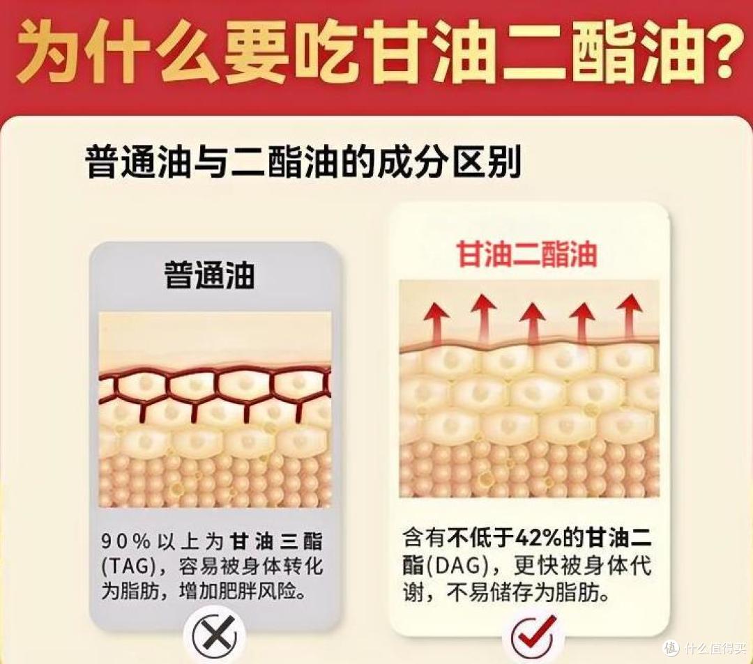 图片来源于网络