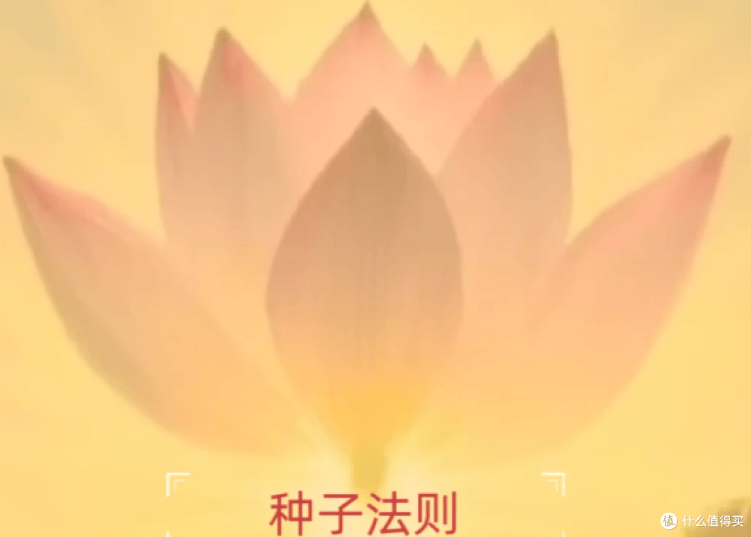与人相处,贵在真诚:这些细节帮你赢得人心