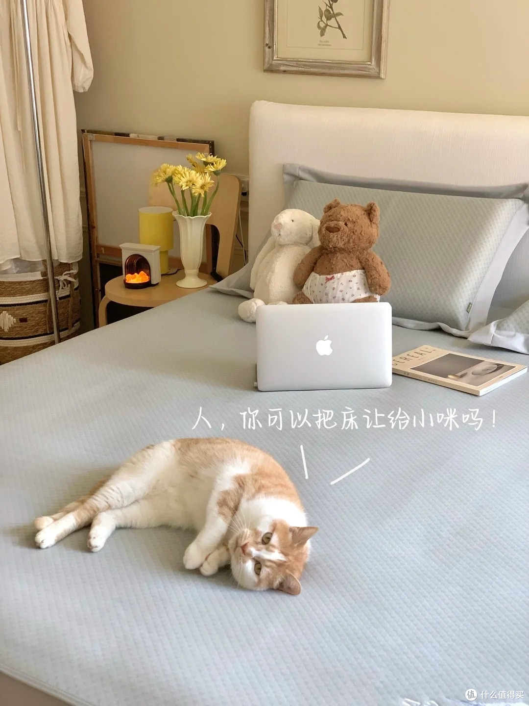 人，可以把床让给咪吗？