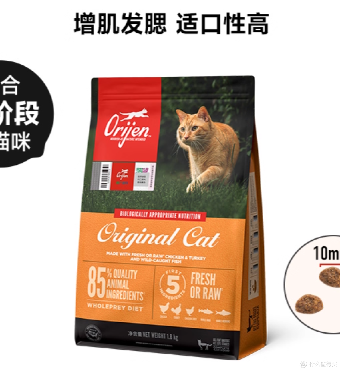 必看!2025年十大放心猫粮品牌排行榜整理,新手养猫选粮不踩坑