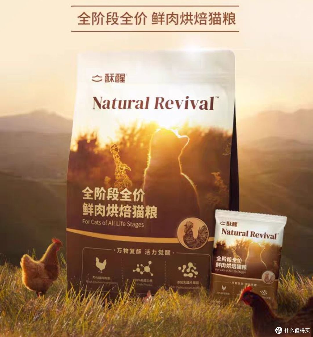 必看!2025年十大放心猫粮品牌排行榜整理,新手养猫选粮不踩坑