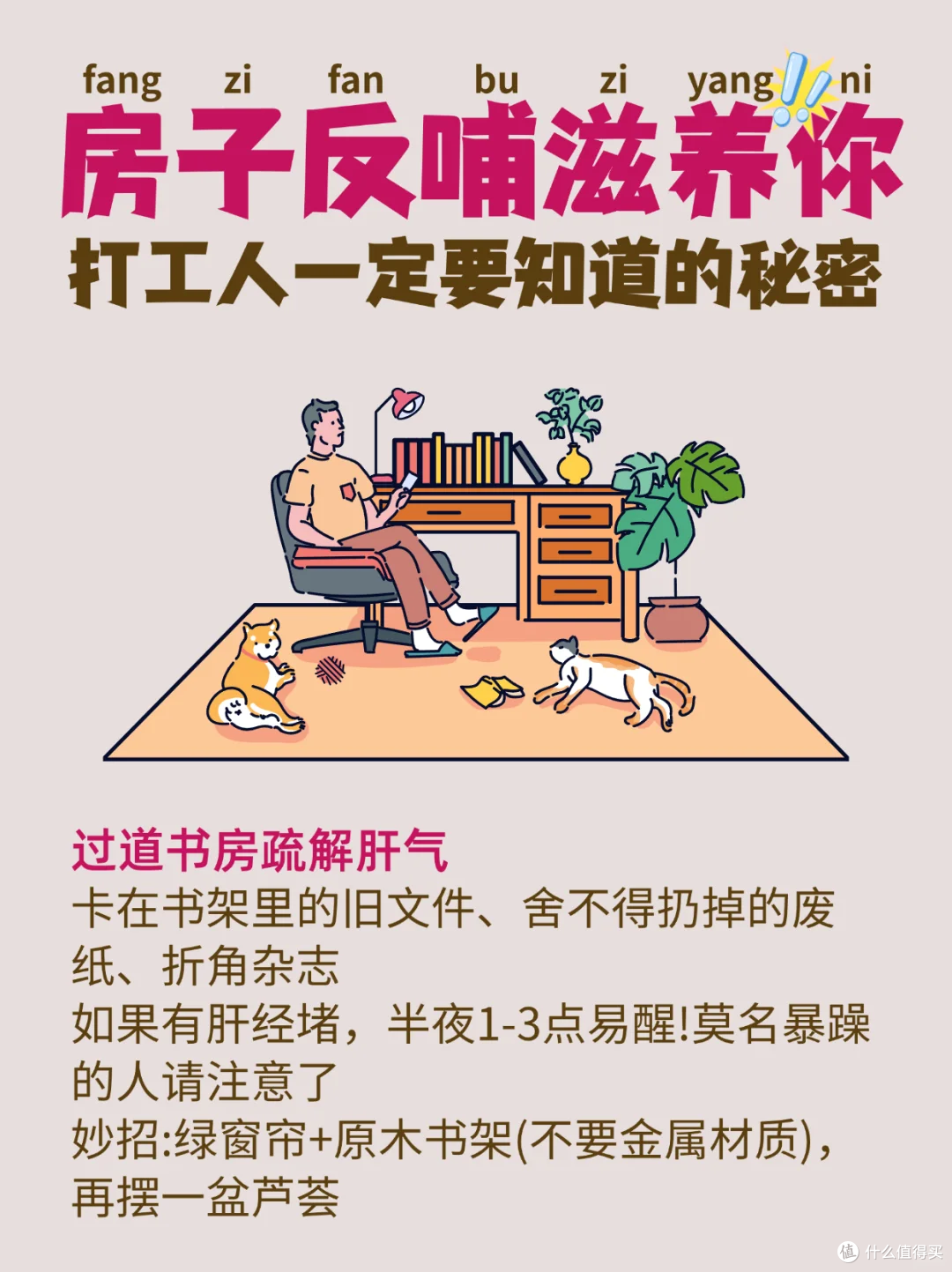 图片来源于小红书博主-里里的养生手册
