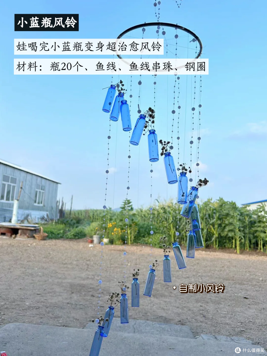 图片来源于小红书博主-饼干的精简生活