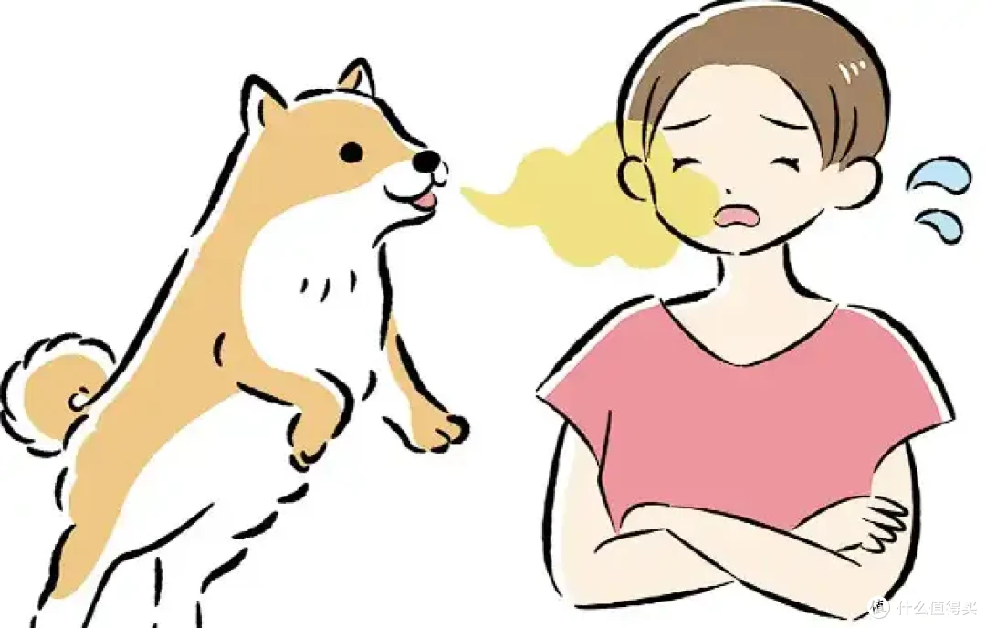 养宠空气净化器热门机型推荐|养宠空气净化器是不是智商税?