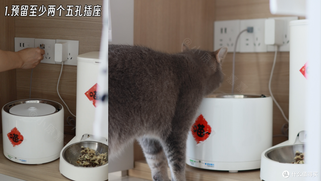 我为了5年宠物家人,都做了哪些贴心的人宠友好设计?