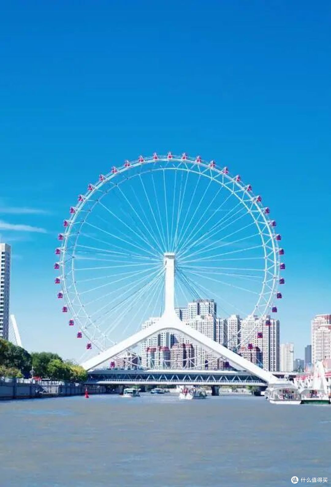 图源：税裤粮G