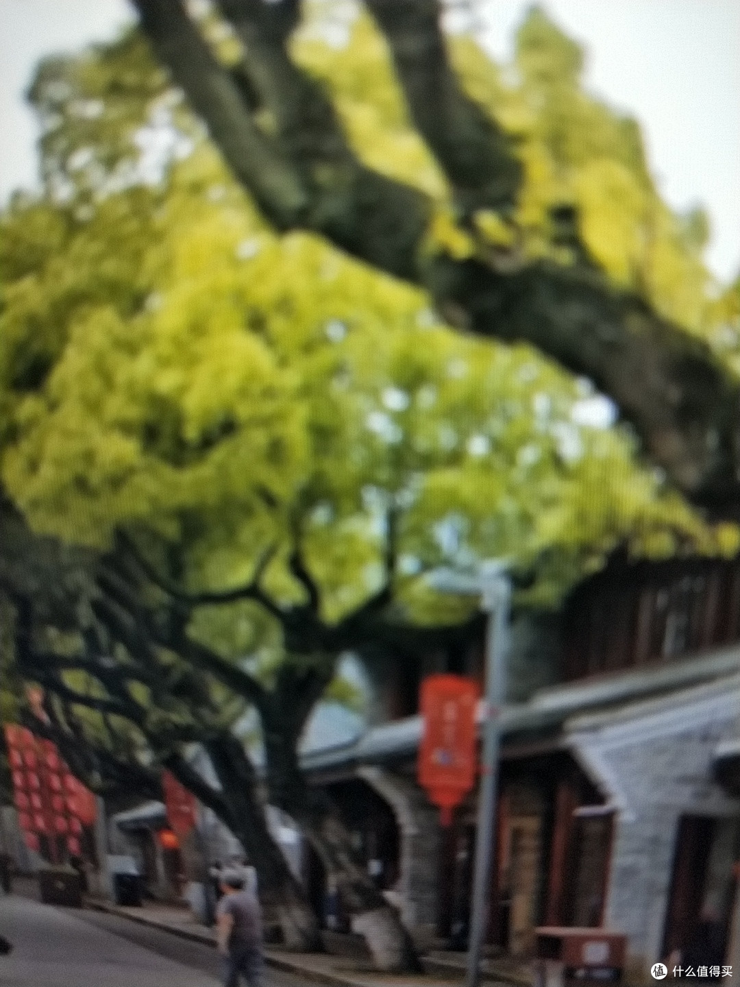 假期宁波旅游景点推荐