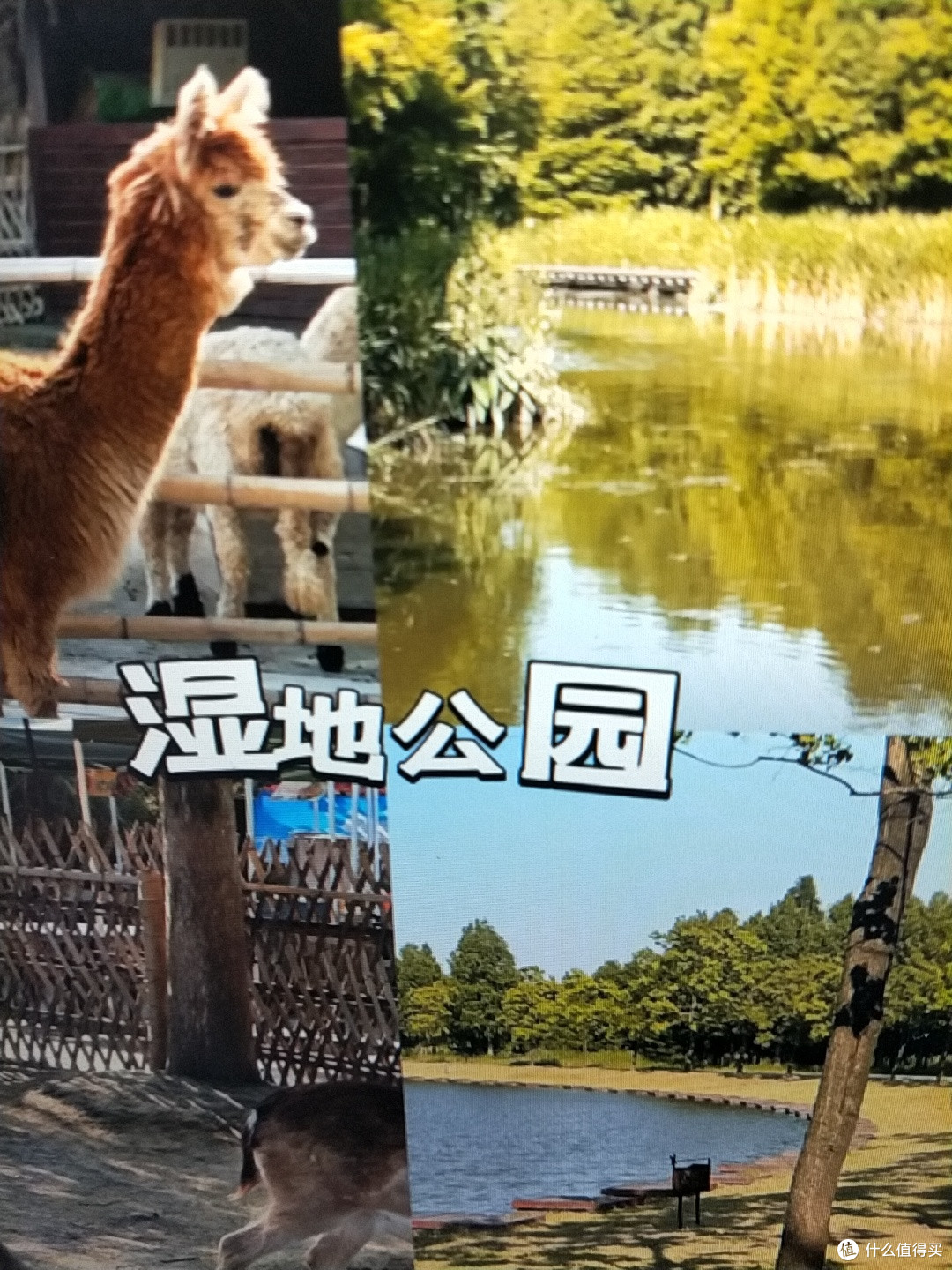 假期宁波旅游景点推荐