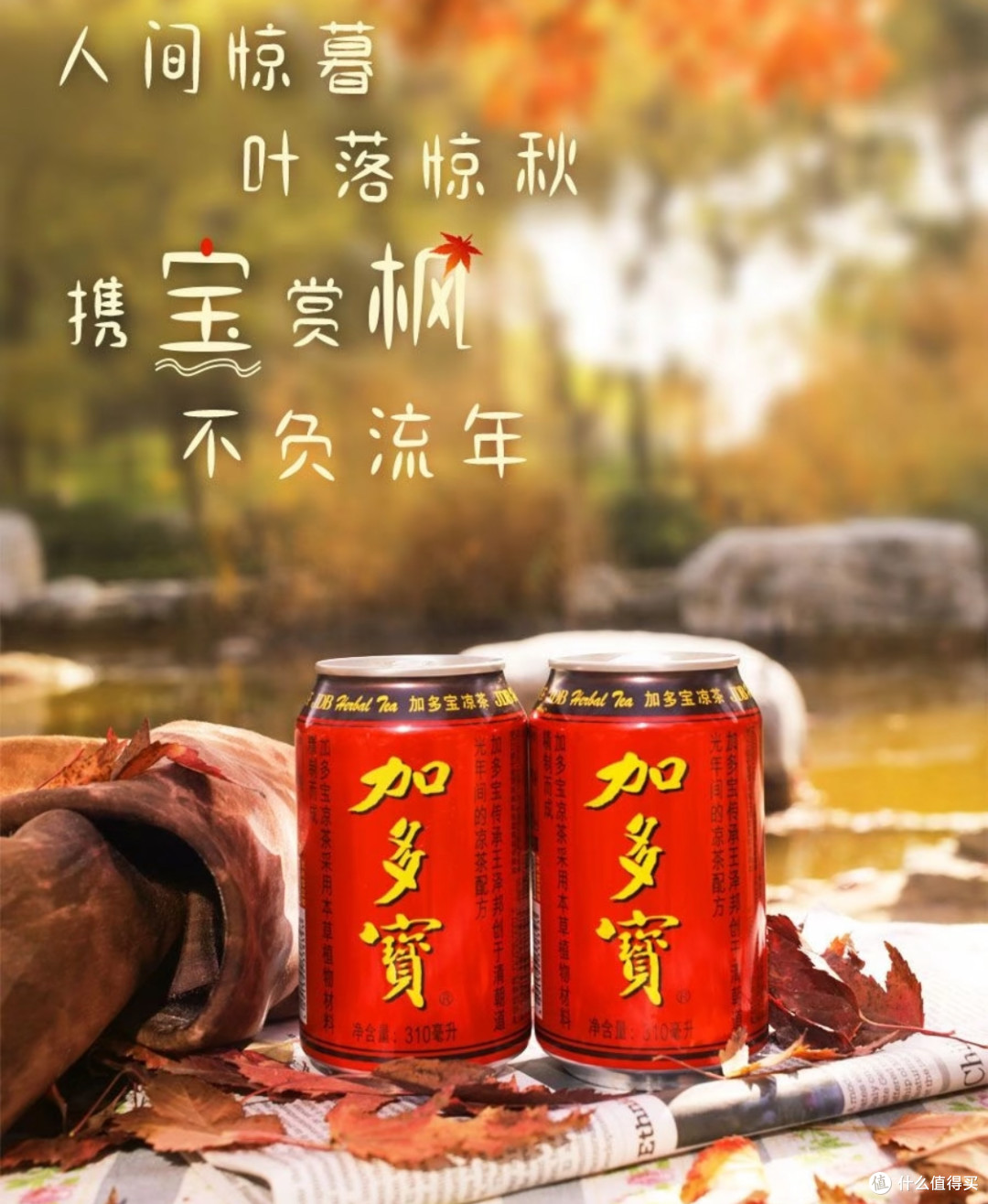 加多宝:传统凉茶的现代传奇