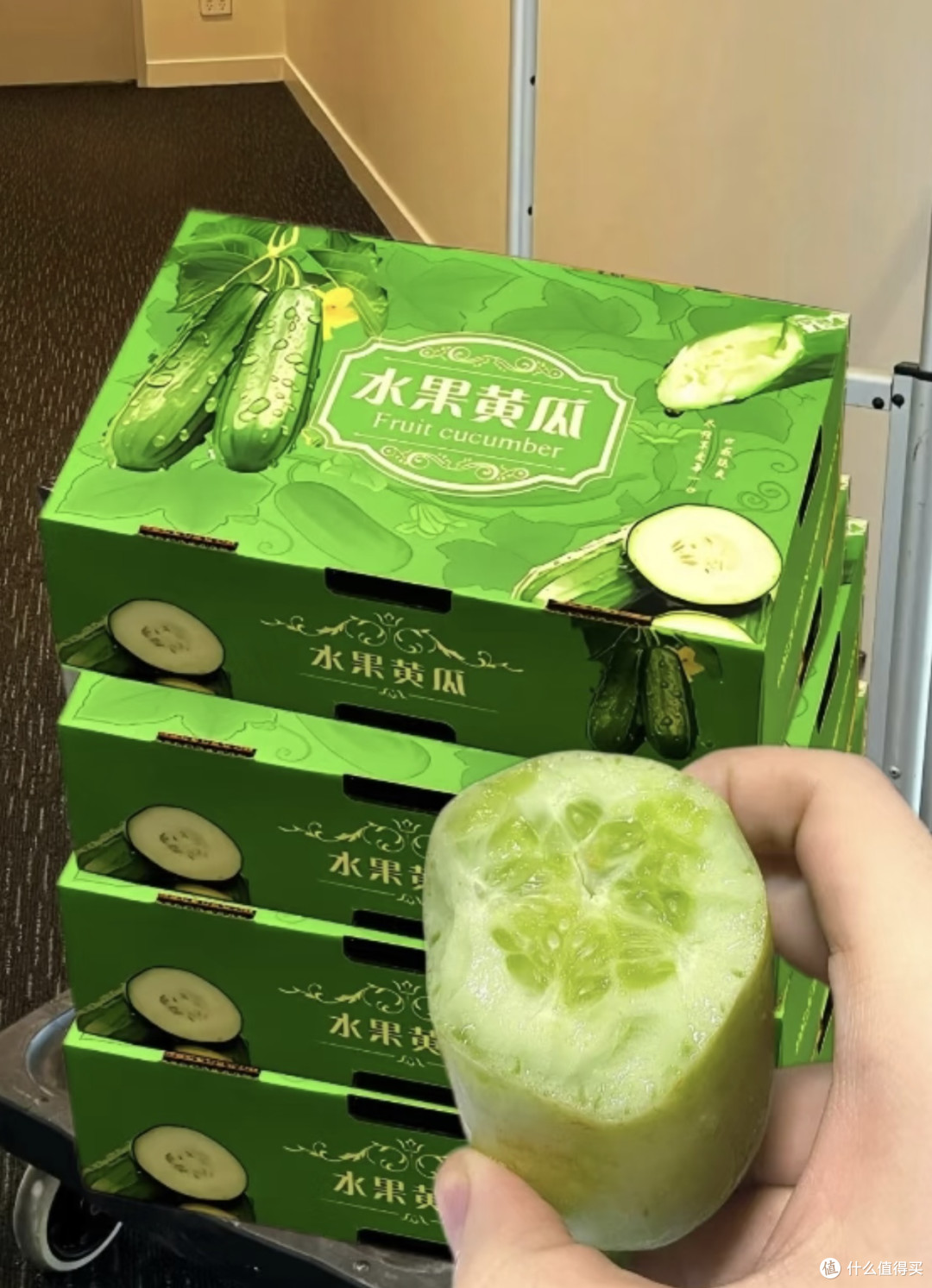 一口沦陷!山东水果小黄瓜,脆嫩清甜的夏日宝藏