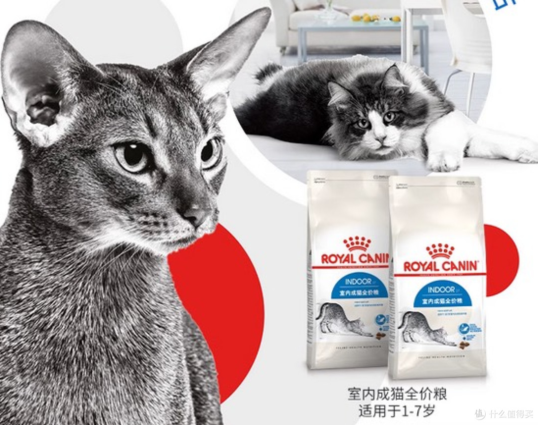 猫粮哪个牌子质量好性价比高?2025猫粮排行榜前十名