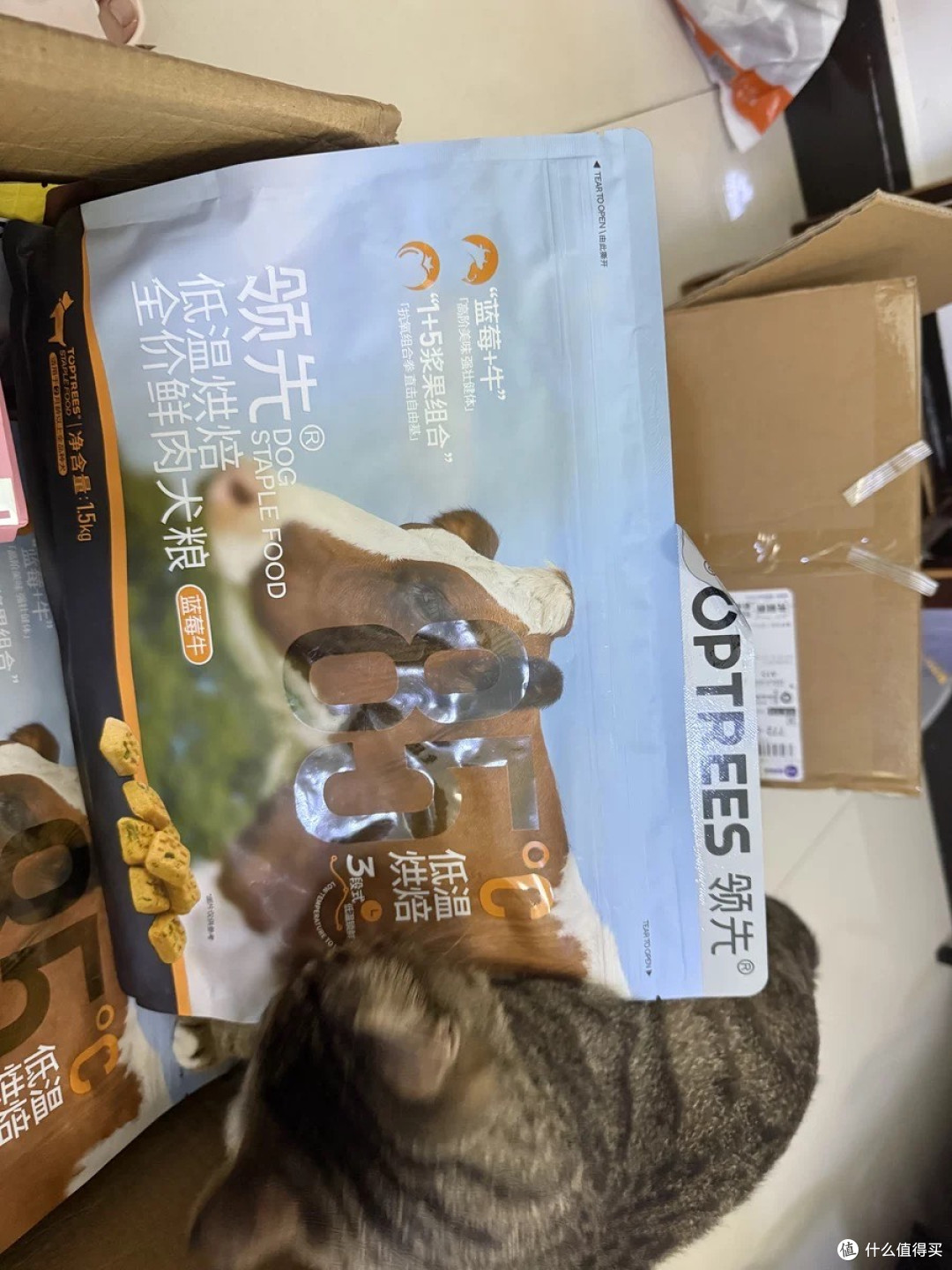 养泰迪比熊的都冲!领先低温烘焙狗粮真的太绝了