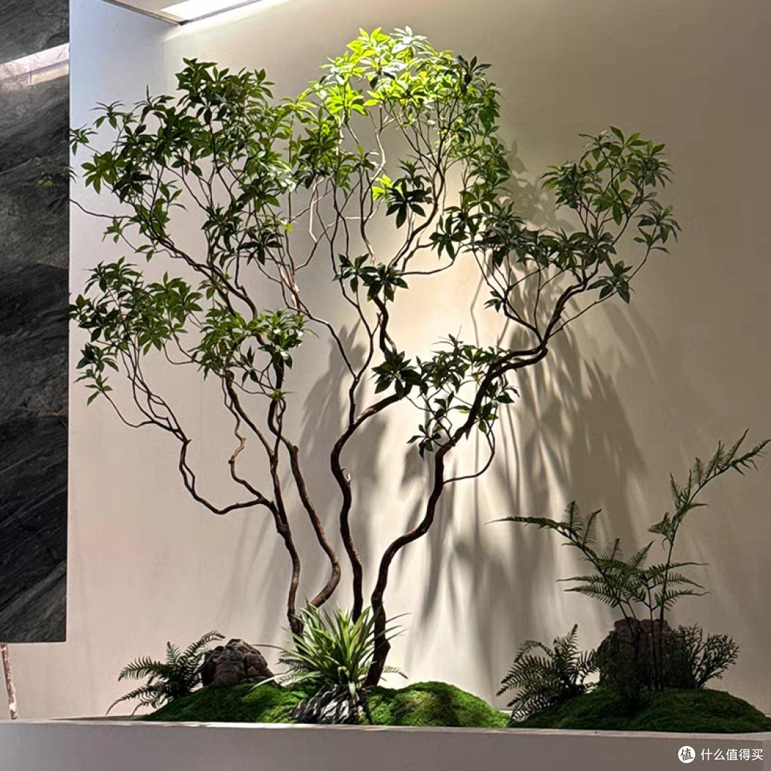 阳台方寸间造氧吧,解锁都市有氧新生活