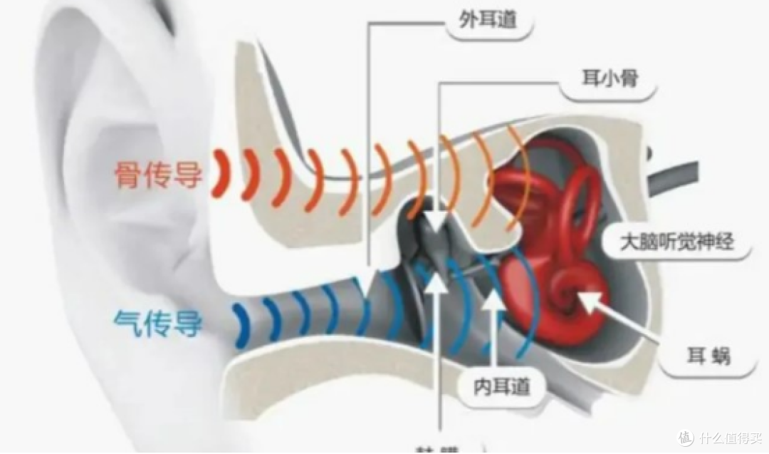 什么是开放式耳机?高性价比开放式蓝牙耳机科普推荐