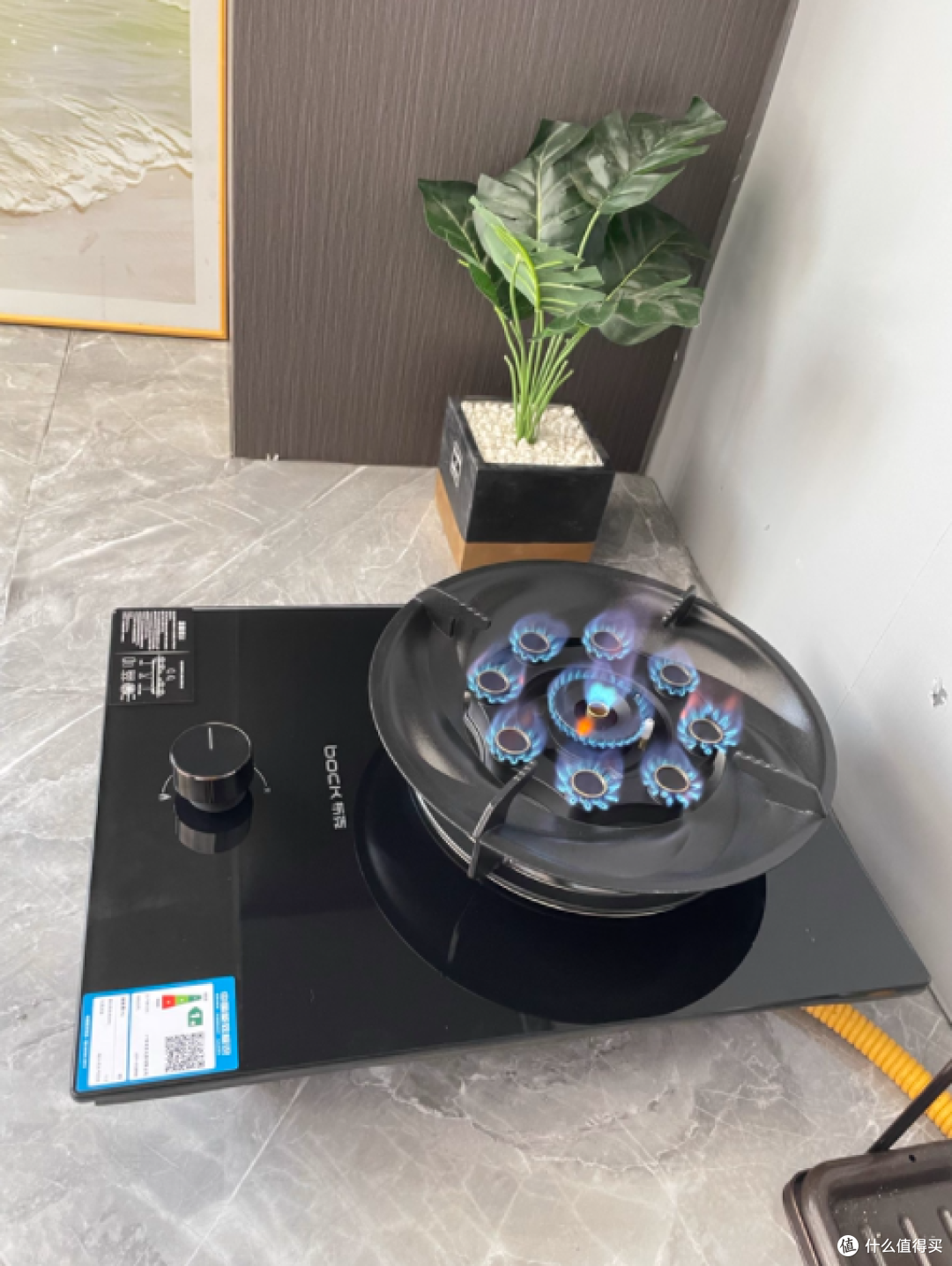 BOCK 布克旗舰店煤气灶:单灶中的烹饪利器
