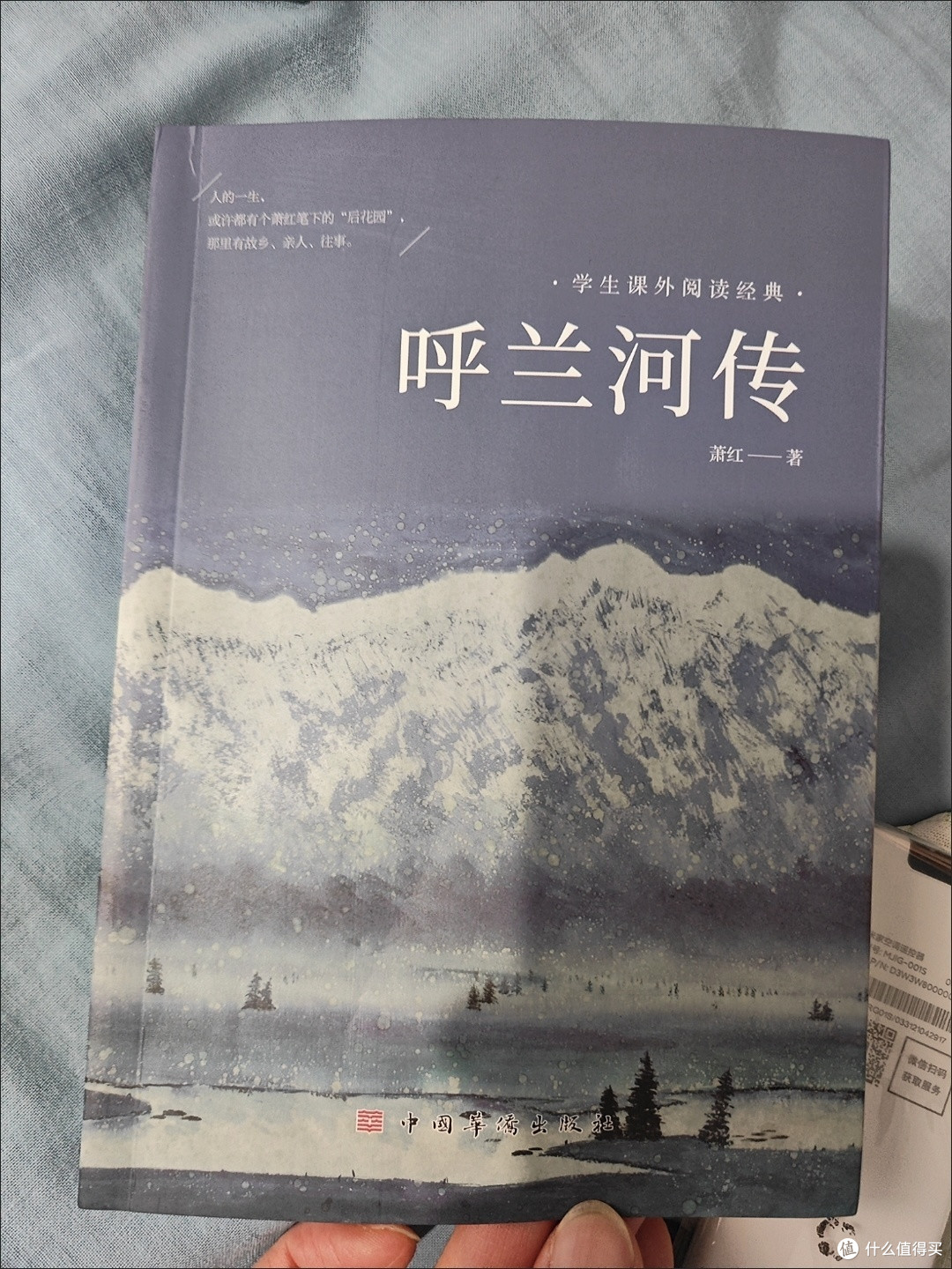 《呼兰河传》阅读体验:在灰暗中触摸人性的微光