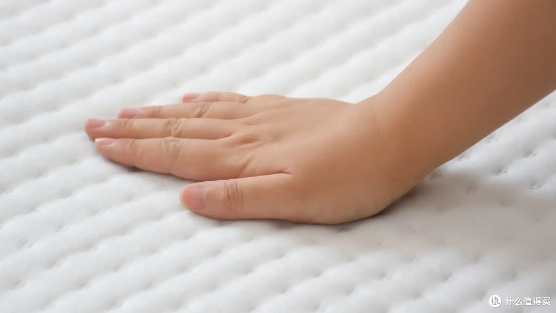 冬日睡眠革命！米家智能电热毯：双区独立温控，辅热除螨一机多用