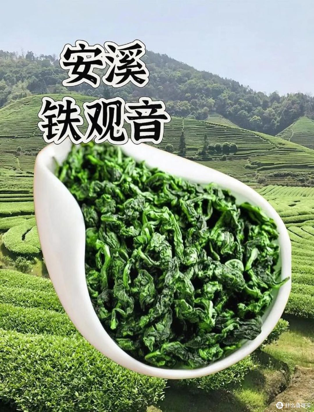 中国十大乌龙茶排名,快来看看你喜欢的茶是否上榜!