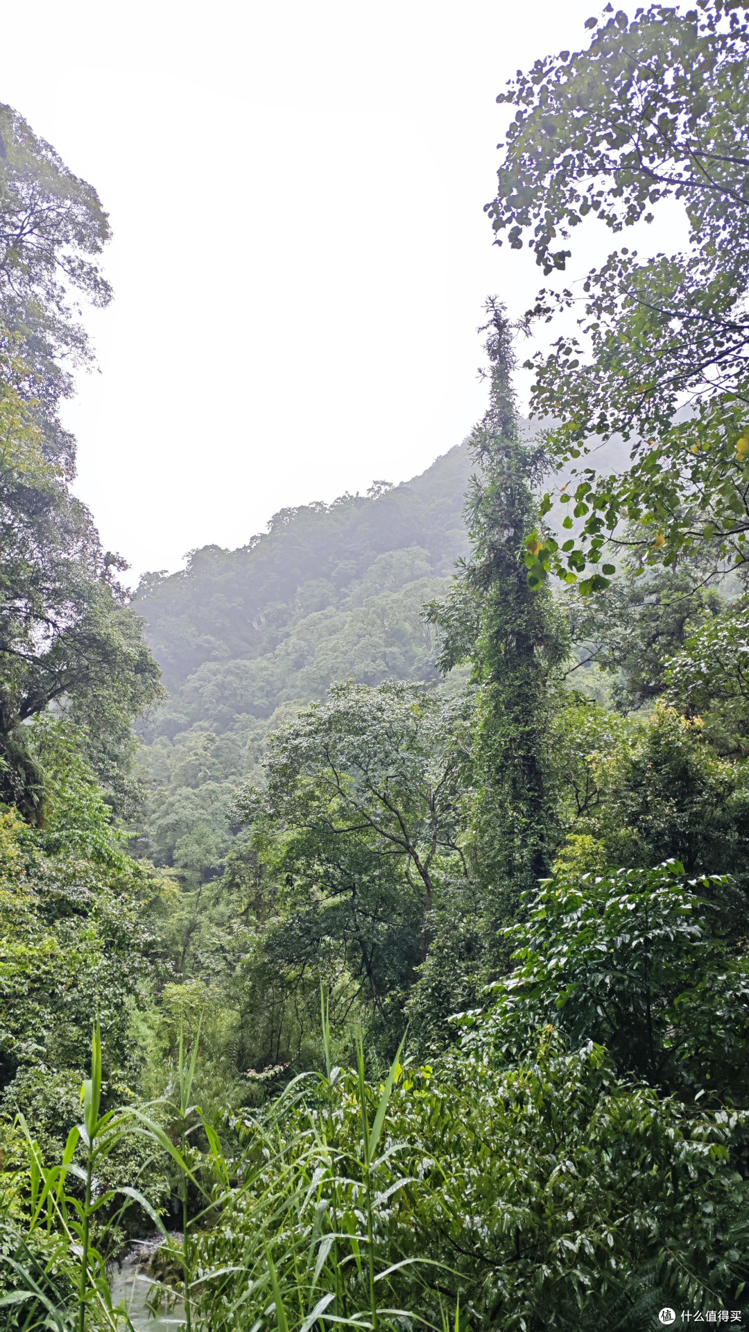 峨眉山
