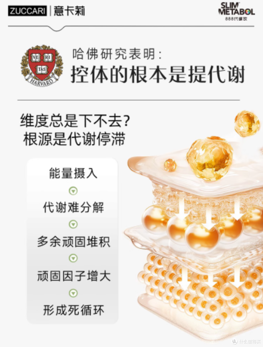 意卡莉 888 代谢饮:开启高效代谢,重塑理想身材