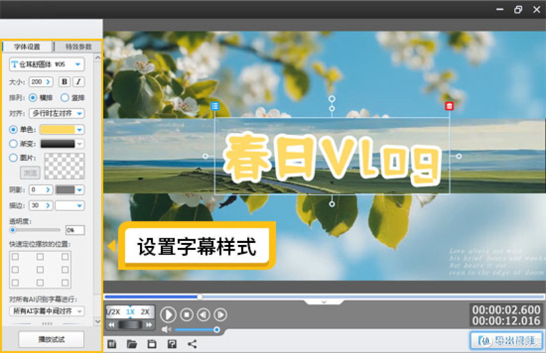 图6：设置字幕样式