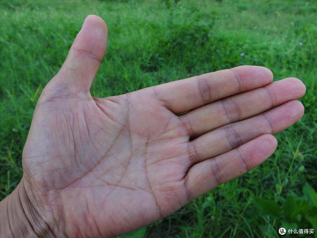 手握悬鱼纹，龙虎榜上人”，悬鱼纹是啥？真能上龙虎榜？_文化艺术_什么值得买